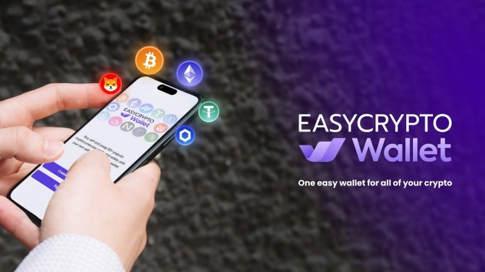 What Is a Crypto Wallet, and How to Choose the Best One for You? | Learn Crypto Wallet